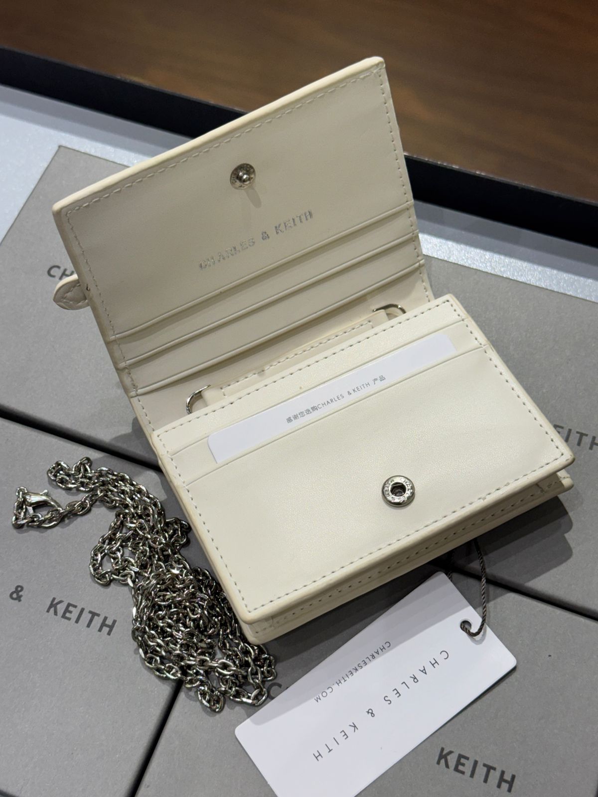 CHARLES & KEITH SLOANE METALLIC CHAIN-HANDLE WALLET – Women Bag (Pearl White)