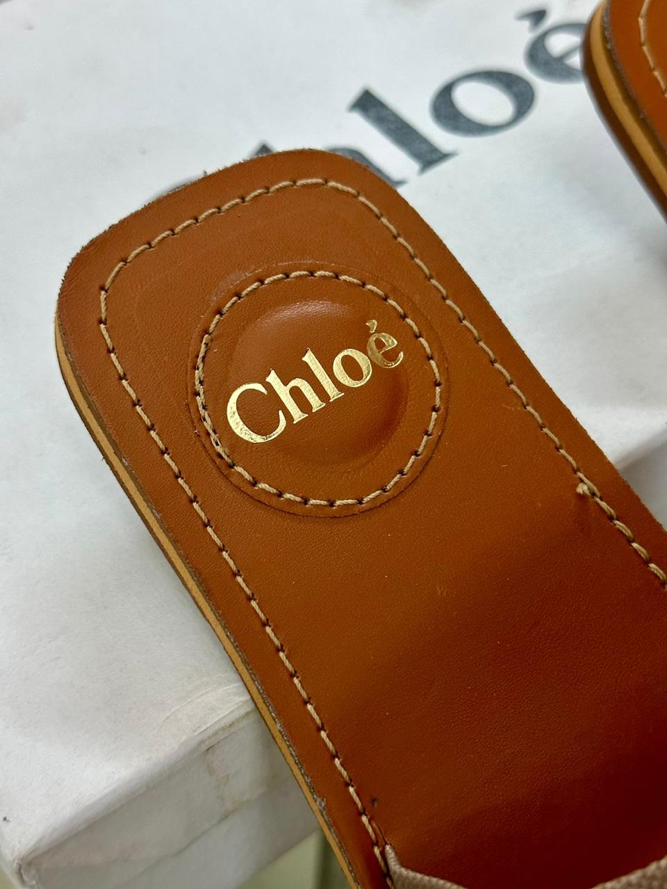 Chloé-Inspired Flats – Available in 3 Beautiful Colors (Brown)