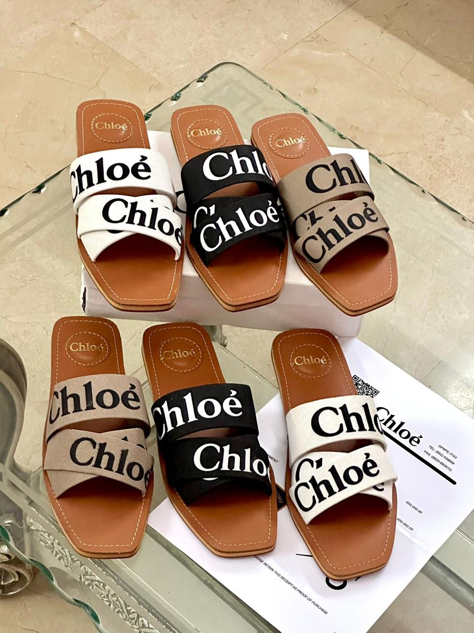 Chloé-Inspired Flats – Available in 3 Beautiful Colors (Brown)