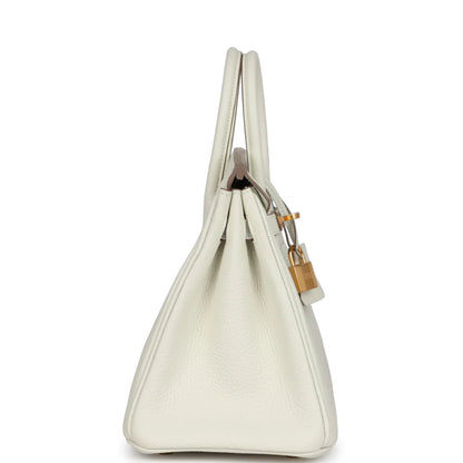 Hermes Birkin 25 Leather Gold Hardware Handbag Bag for Women (White Matt)