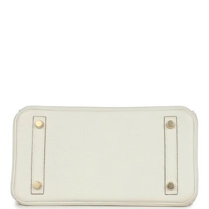 Hermes Birkin 25 Leather Gold Hardware Handbag Bag for Women (White Matt)