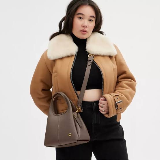 C-O-A-C-H LANA – Super Premium Quality Handbag | Luxury Edition (Brown-1)