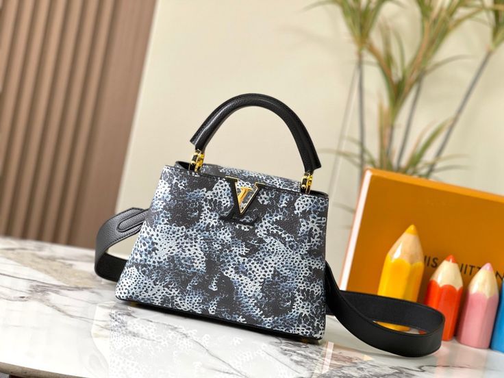 LOUIS VUITTON CAPUCINES – Women Bag (Master Series) (Black & White)