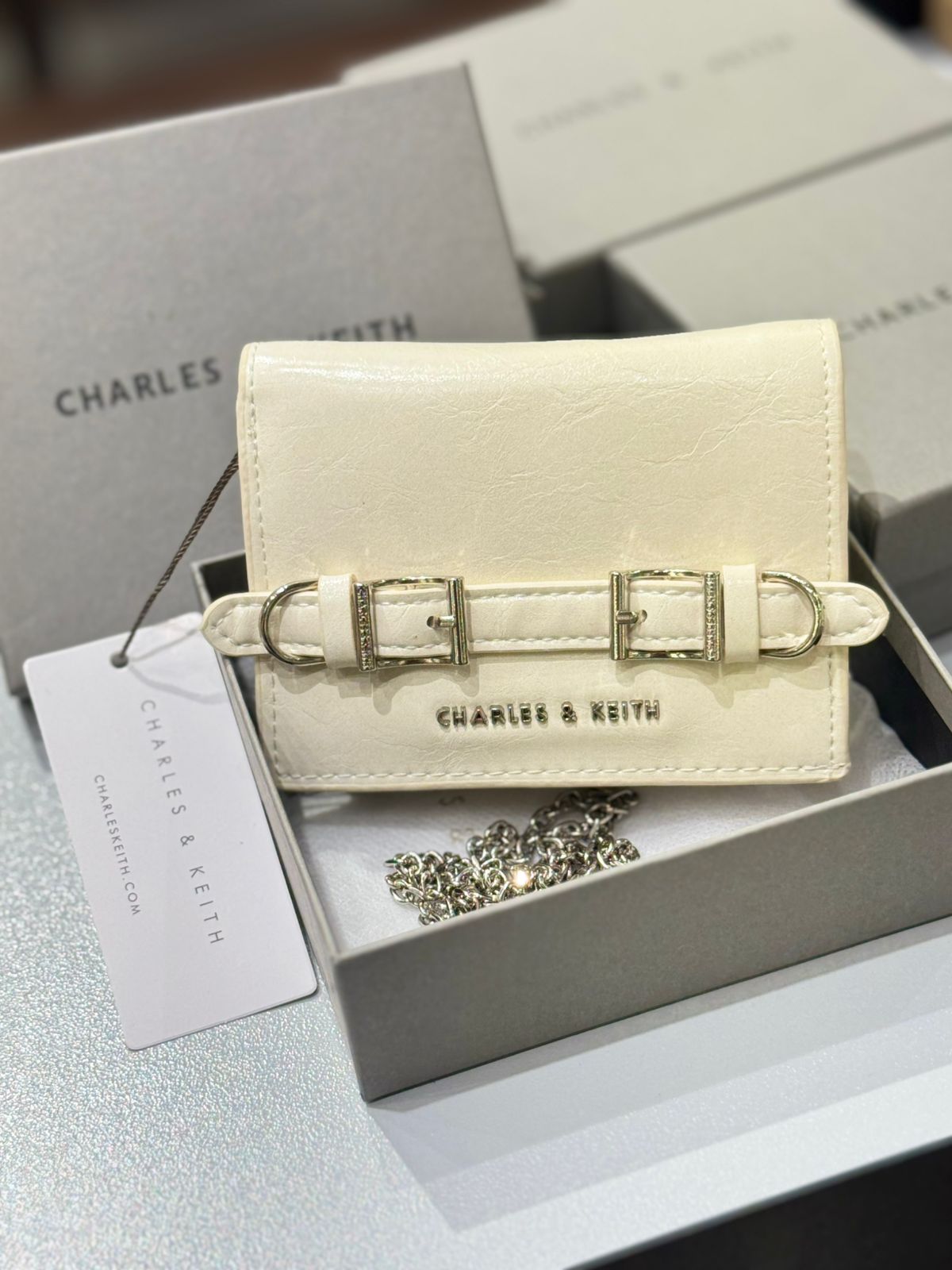 CHARLES & KEITH SLOANE METALLIC CHAIN-HANDLE WALLET – Women Bag (Pearl White)