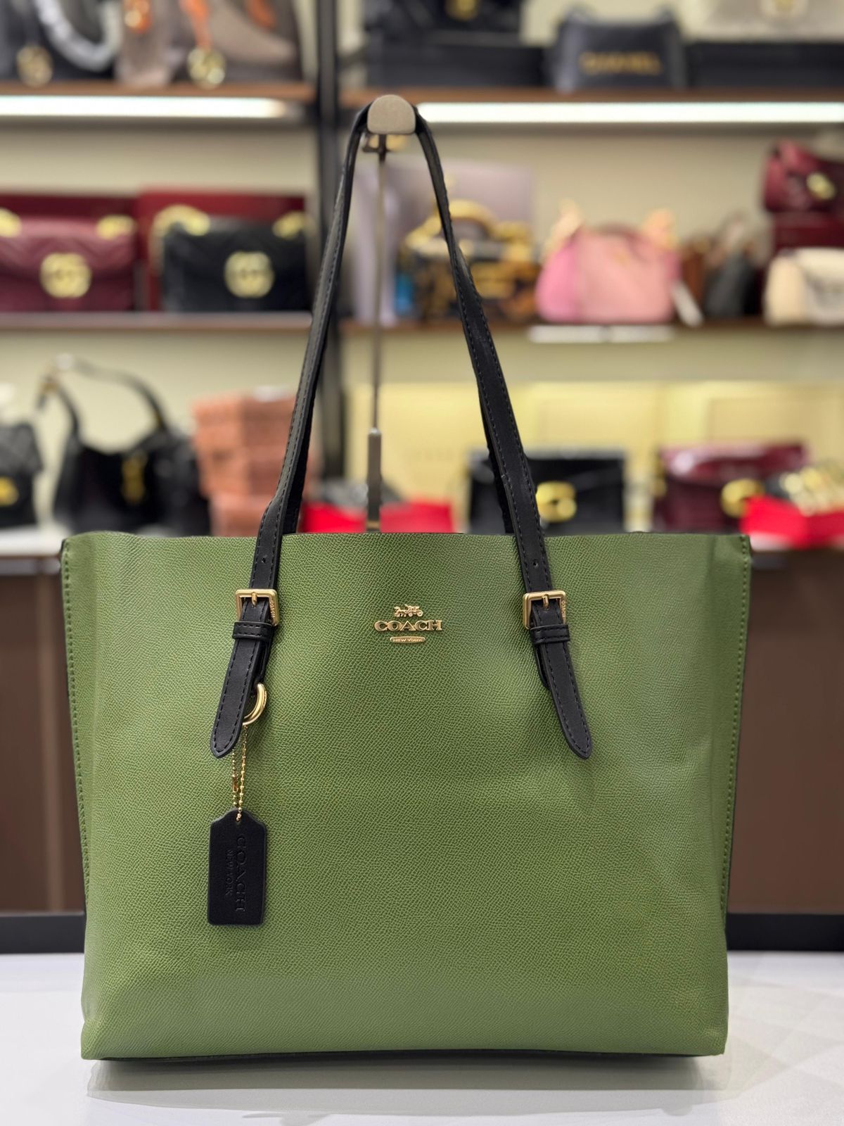 C-O-A-C-H Mollie Tote Women Bag – Signature Canvas Edition (Green)