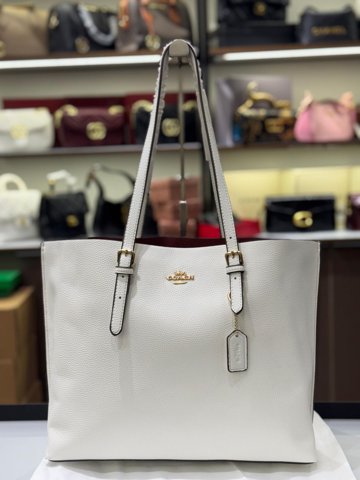C-O-A-C-H Mollie Tote Women Bag – Premium Class Big Size Edition (Silver Chalk White)