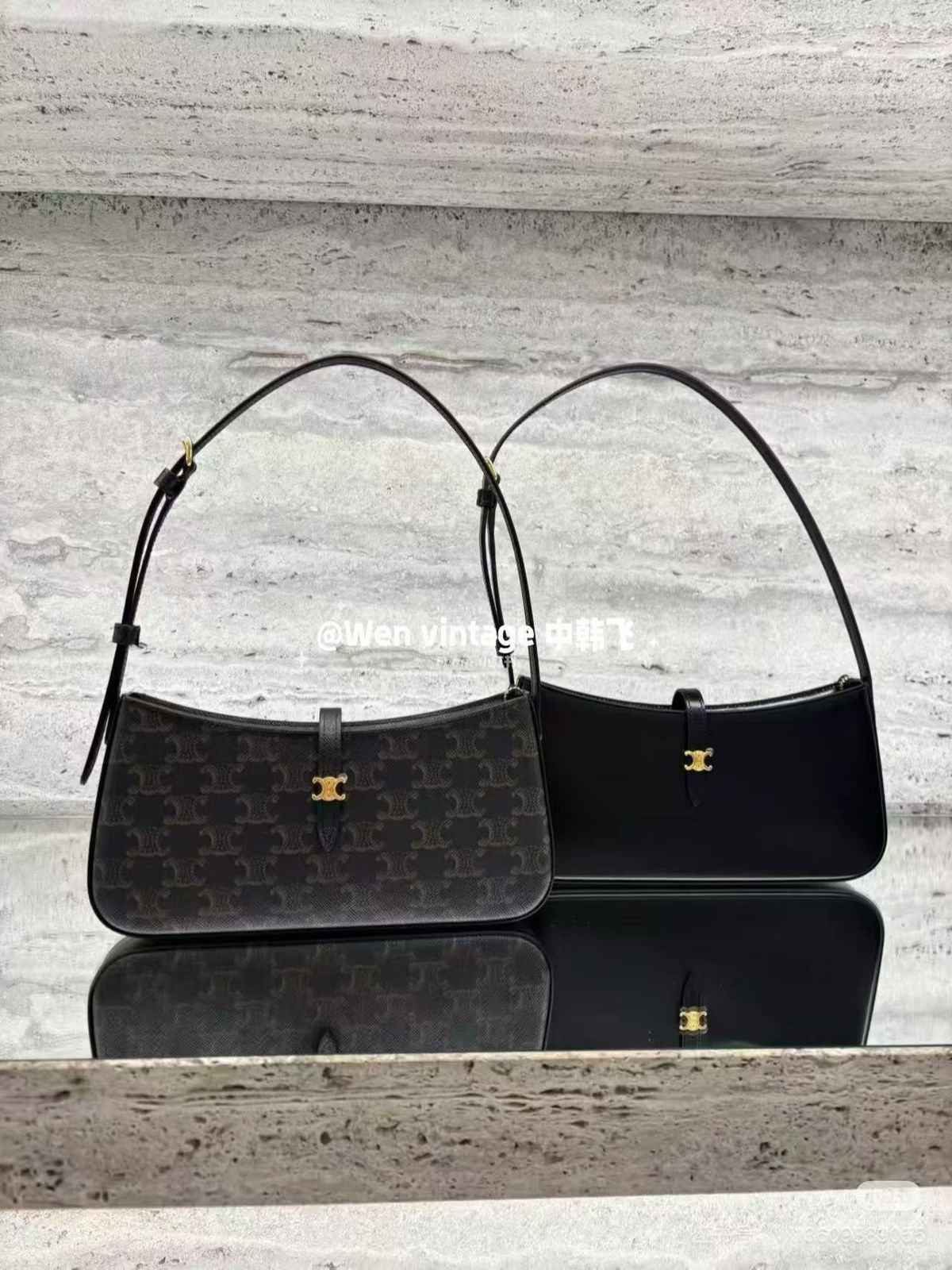 C-E-L-I-N-E Paris Luxe Soft Women Bag | Premium Edition (Black/Brown)