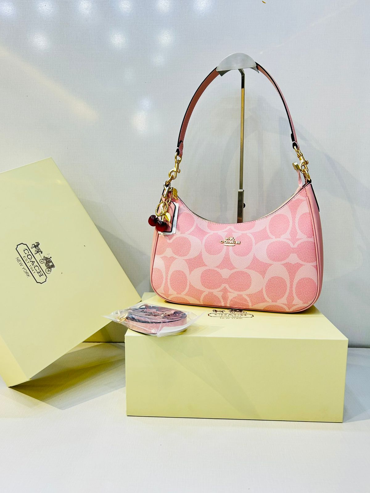 C-O-A-C-H Teri Bag Gift Set – Signature Canvas Women Bag (Pink)