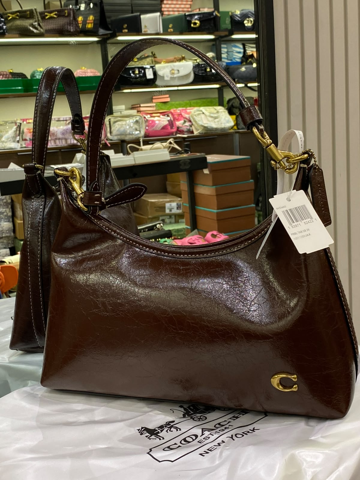 C-O-A-C-H Juliet Shoulder Bag – Everyday Luxe Women Bag (Brown)