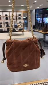 C-O-A-C-H Faye Mini Drawstring Bag – Elegant Luxe Women Bag (Brown)