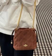C-O-A-C-H Faye Mini Drawstring Bag – Elegant Luxe Women Bag (Brown)