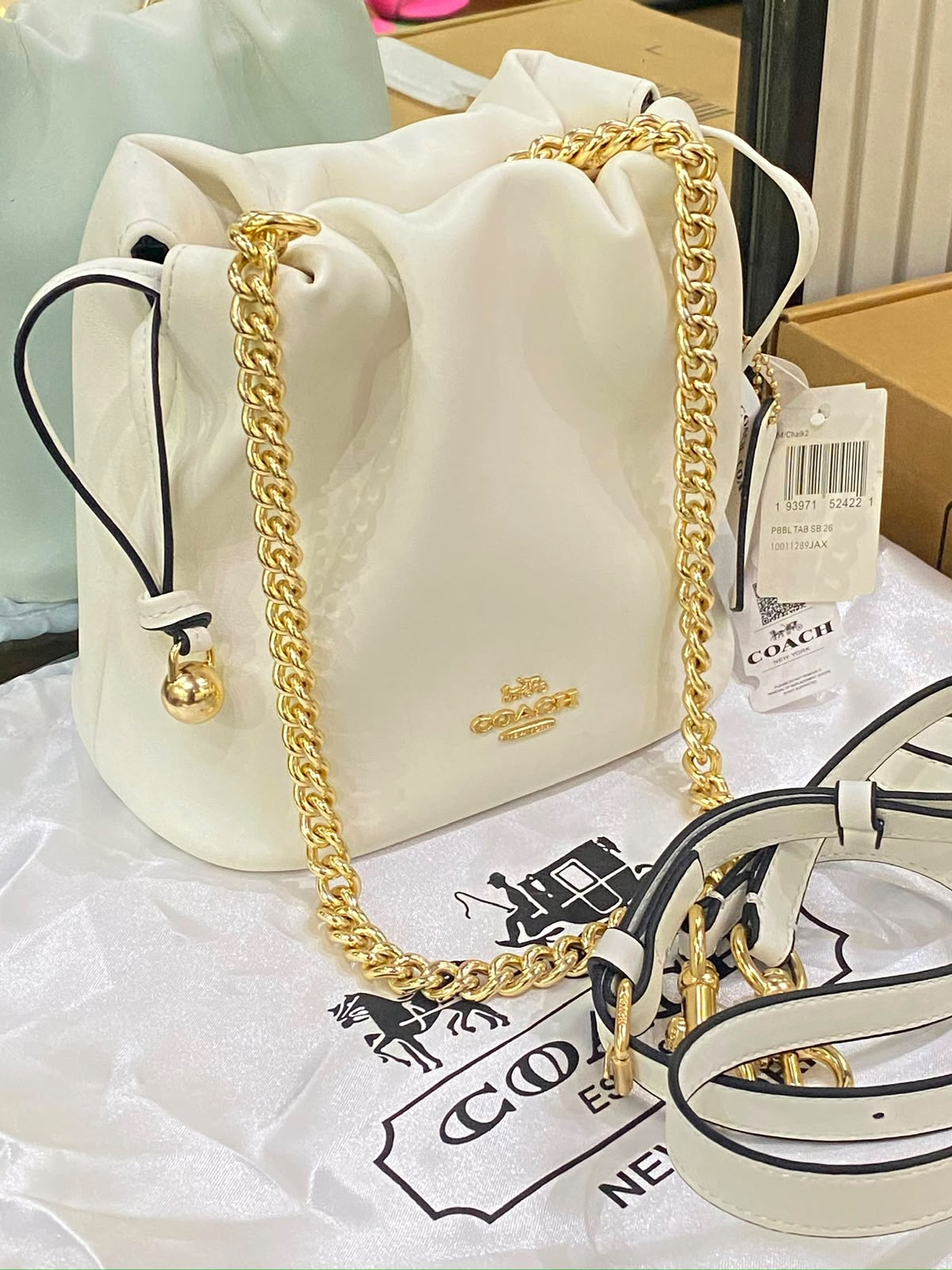 C-O-A-C-H Faye Mini Drawstring Bag – Elegant Luxe Women Bag (White)
