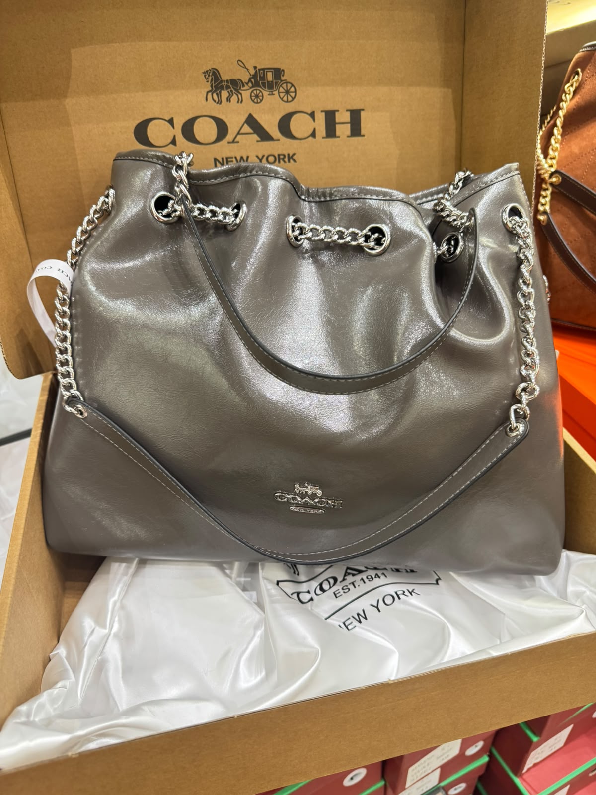 C-O-A-C-H Evelyn Large Shoulder Bag – Signatures Luxe Women Bag (Silver Grey)