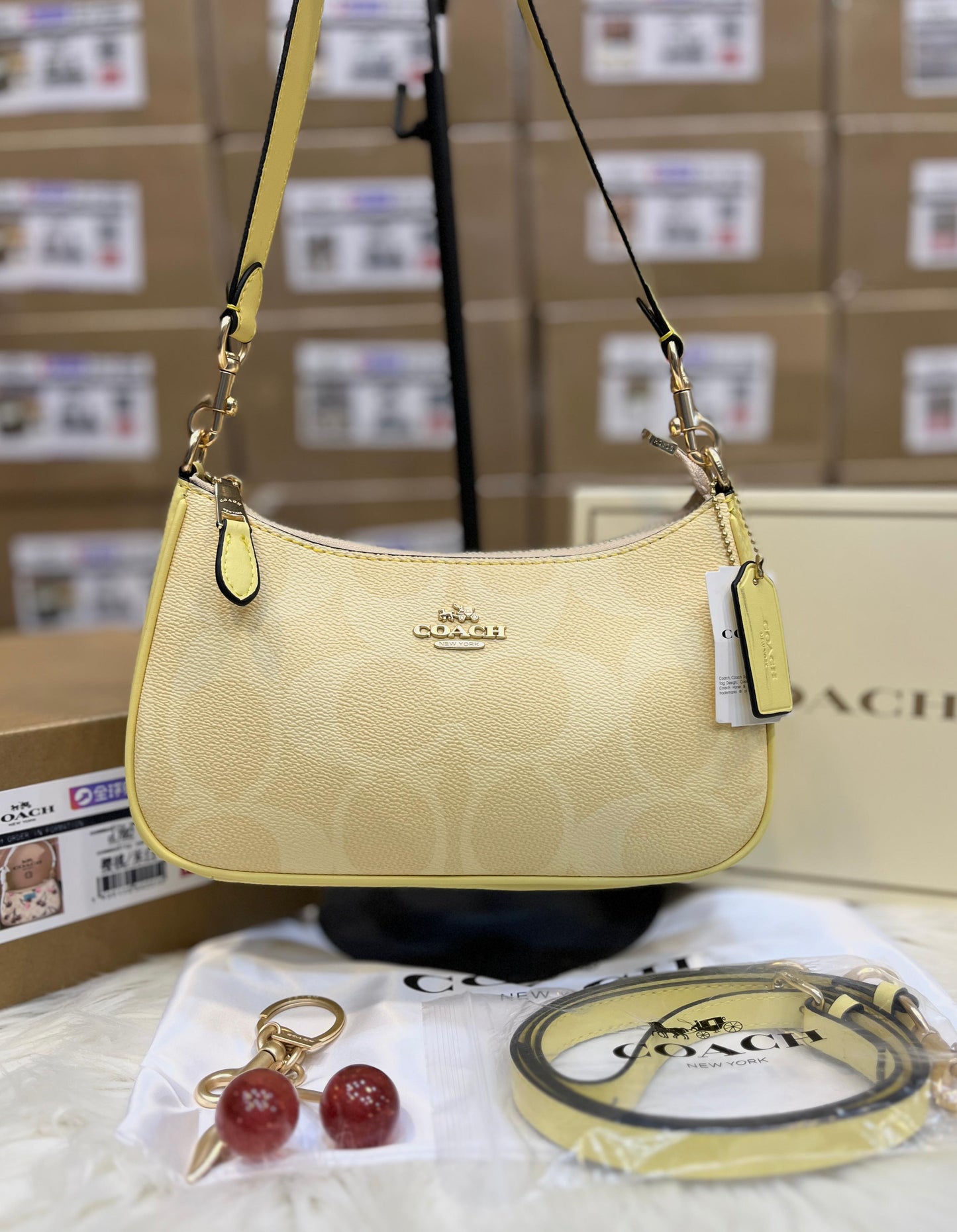 C-O-A-C-H Teri Shoulder Women Bag in Signature Canvas (Yellow Beige)