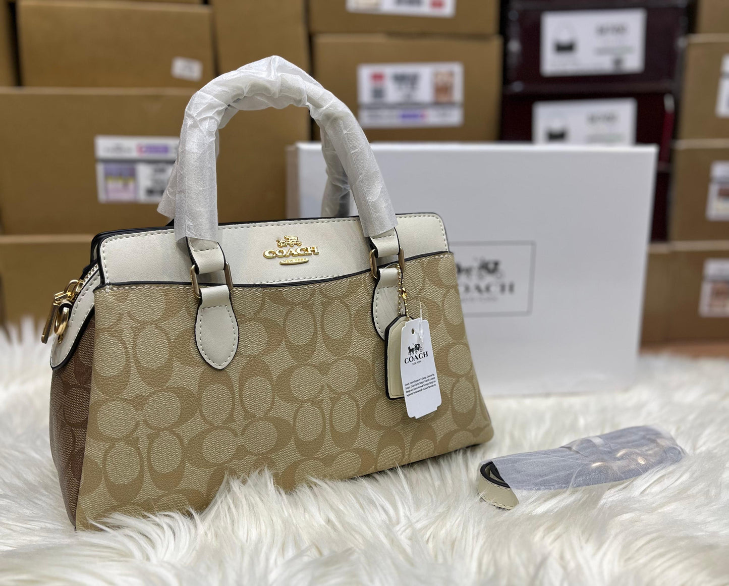 C-O-A-C-H DARCIE CARRYALL BAG – Women Bag (Beige White)