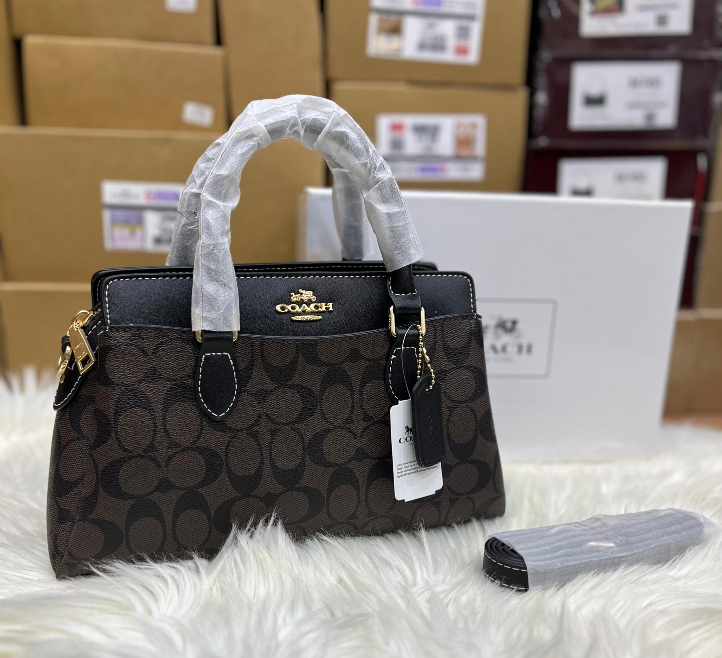 C-O-A-C-H DARCIE CARRYALL BAG – Women Bag (Black Brown)