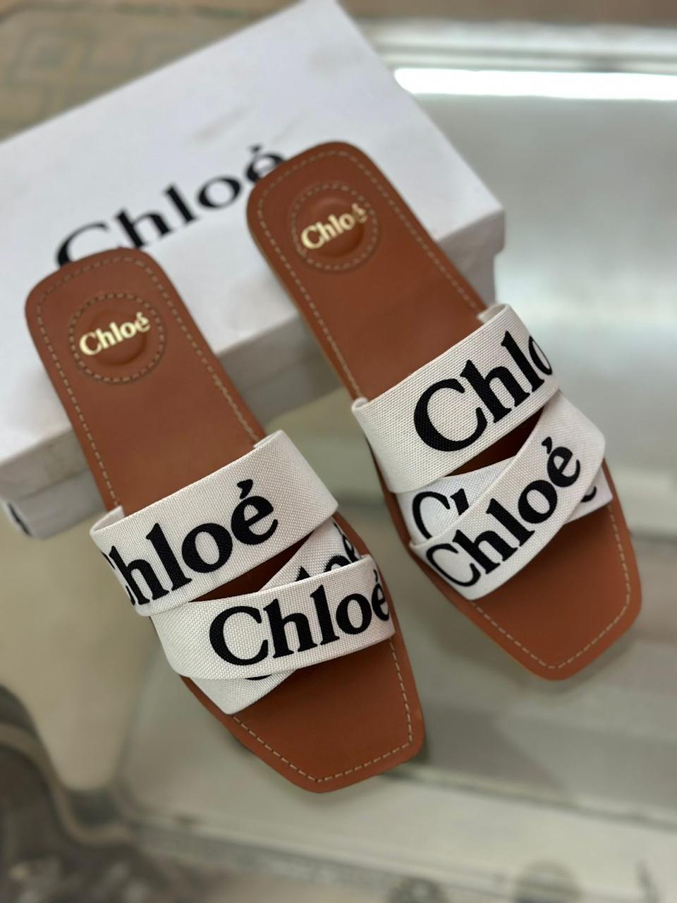 Chloé-Inspired Flats – Available in 3 Beautiful Colors (White)