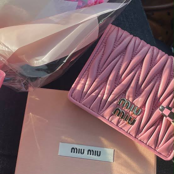 M-I-U M-I-U Morgan Card Case On A Chain – Luxury Women Bag (Pink)