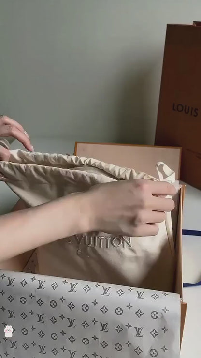 LOUIS VUITTON Women Bag – AAA Swiss Copy (Grey)